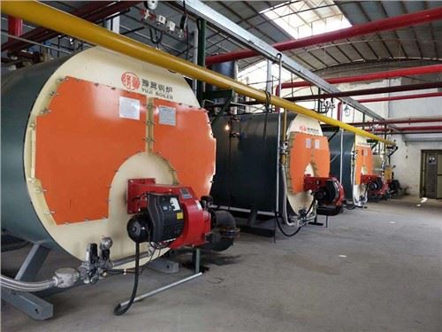 1-10t Wns-serien Diesel gassfyrt dampkjele