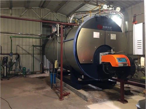 Horisontal type brannrør industriell olje / naturgass avfyrt wns dampkjele