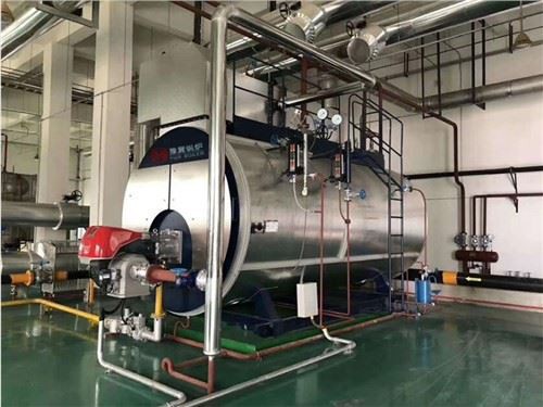 Steam Boiler For Food Industries